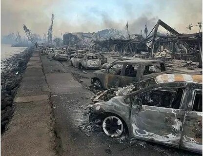 Катаклизмы в мире август 2024