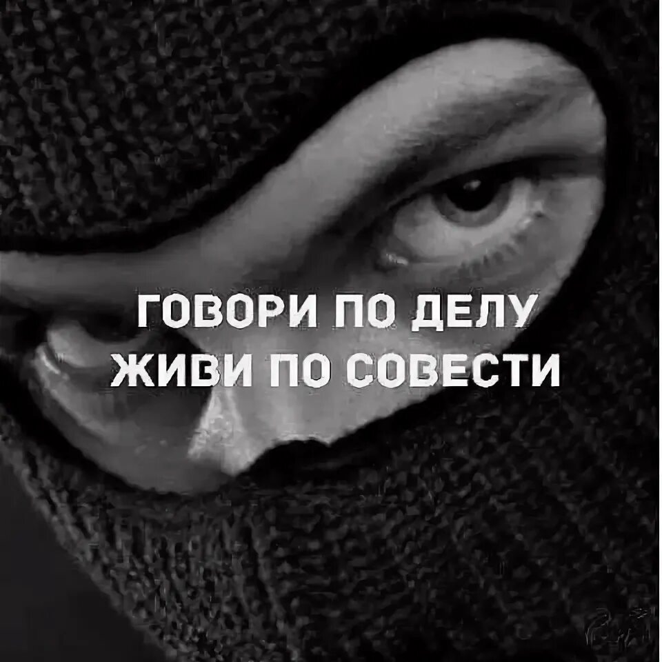 У меня нет совести песня. Говори по делу живи по совести. живи по совести картинки. жить по законам совести картинки. живи по совести надписью.