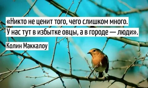 Никто не ценит