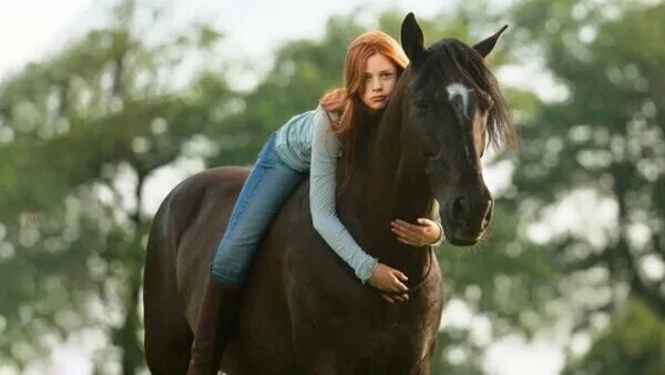 Восточный ветер 2 фильм 2015. Восточный ветер отзывы. Ханна бинке восточный ветер. Восточный ветер отзывы. Оствинд восточный ветер 2.