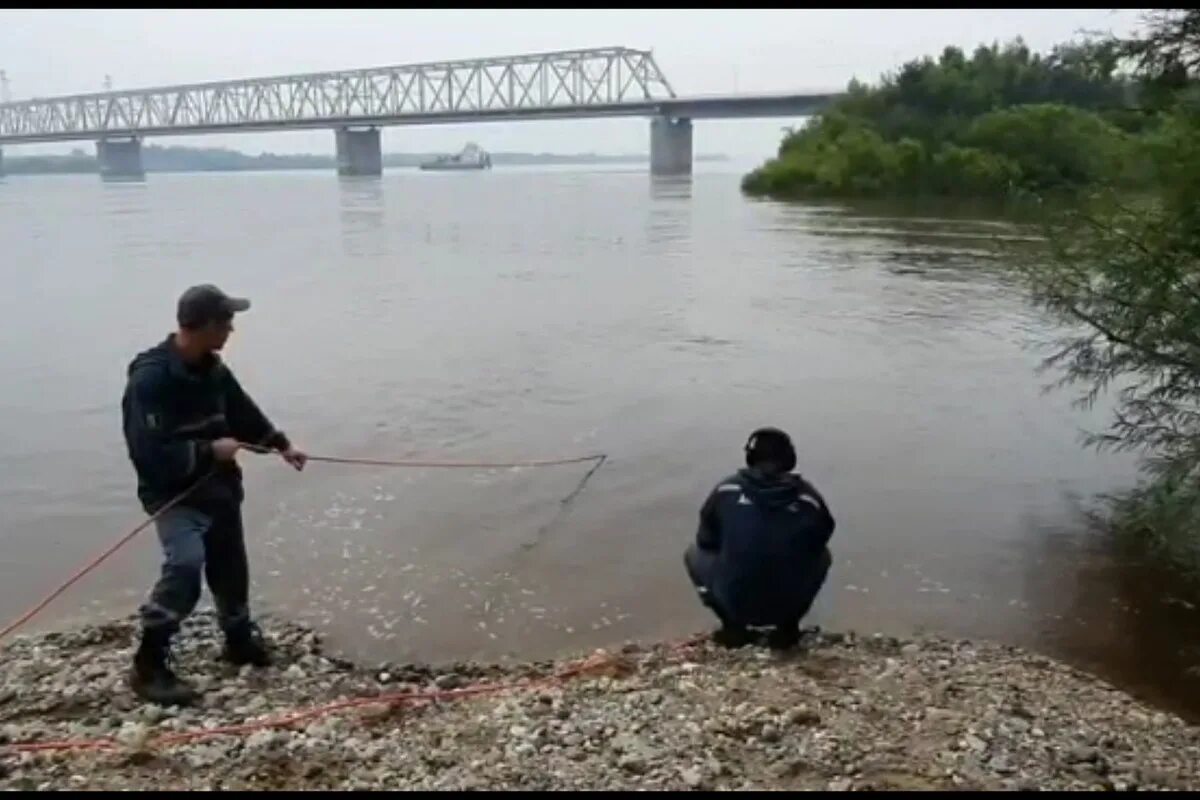 Спасательная операция в амурской области последние. Река Зея Благовещенск Амурская область. Город Свободный река Зея. Река Зея Амурская область Красноярово. Река Амур и Зея.