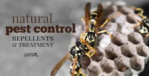 pest control treatments.
