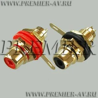 Rca тюльпан мама