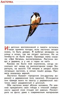 Ласточка не садись слушать