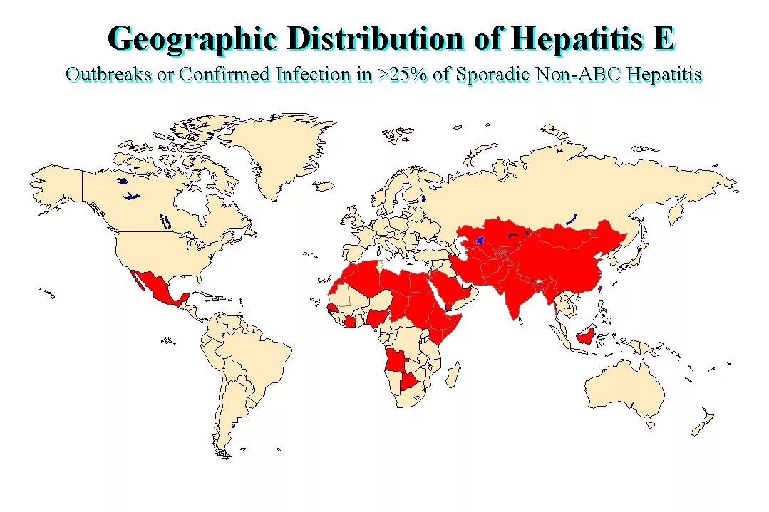 Распространение гепатита е. Распространение гепатита е в мире. Вирус гепатита е распространение. Вирус гепатита е эпидемиология.