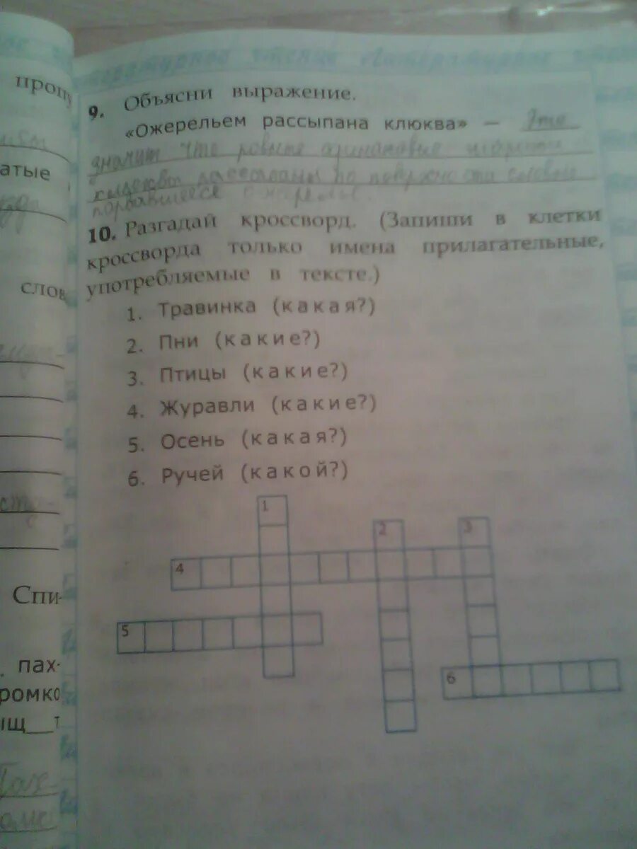 Разгадай кроссворд в нашем полушарии. Разгадай кроссворд. Объясни выражение ожерельем рассыпана клюква. Имя прилагательное крассворд. Кроссворд имя прилагательное.