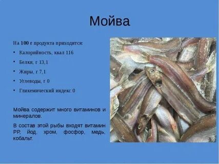 Мойва польза и вред для организма