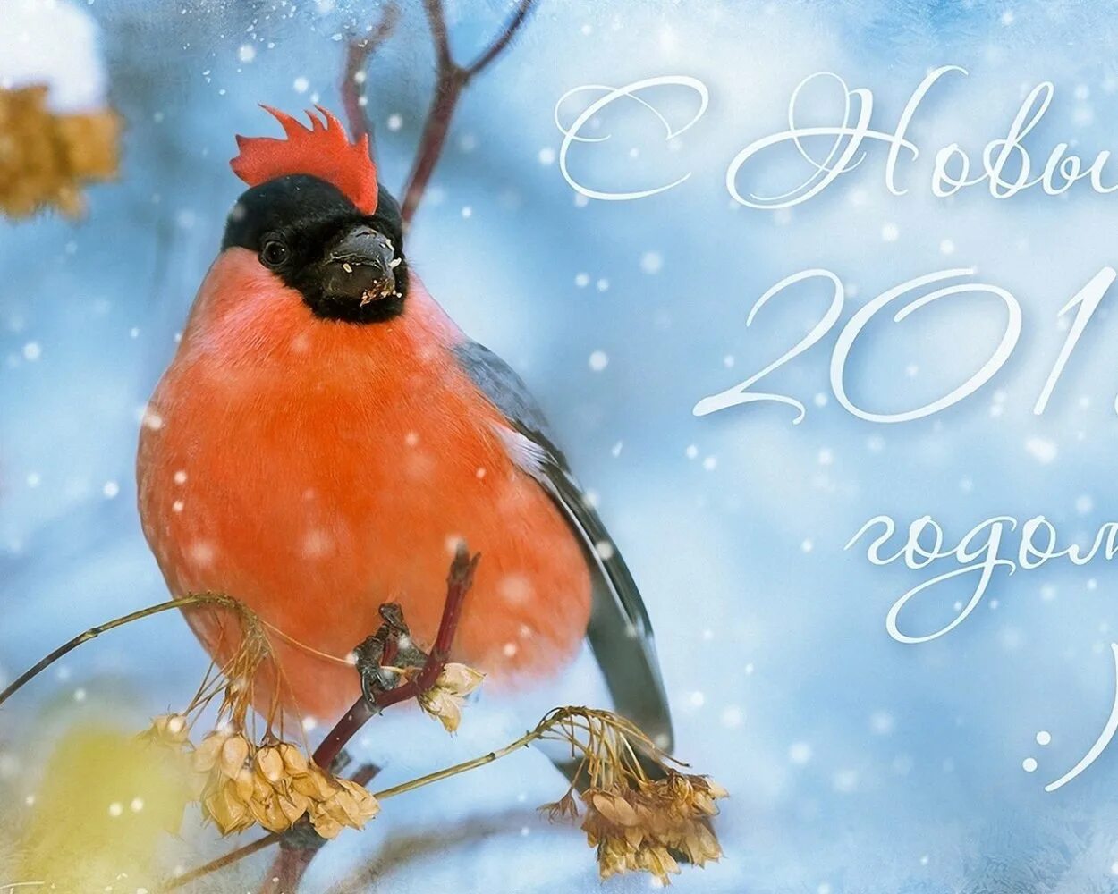 Открытка "снегири". С новым годом снегири. Новогодние открытки со снегирями. Открытка с новым годом снегири. С новым годом со снегирем.