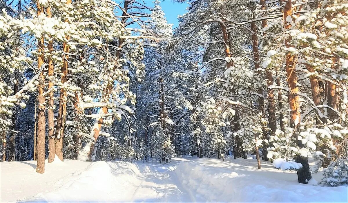 В каких годах были теплые зимы