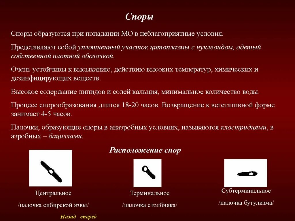 Что при этом образуется