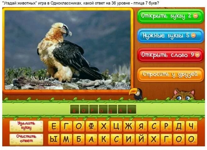 Поиграем в игру угадай животного по звуку. Поиграем в игру угадай животного по звуку