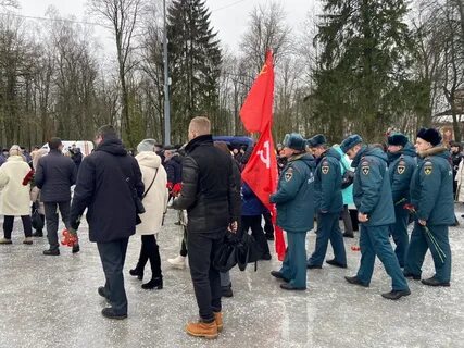 Освобождение гатчины