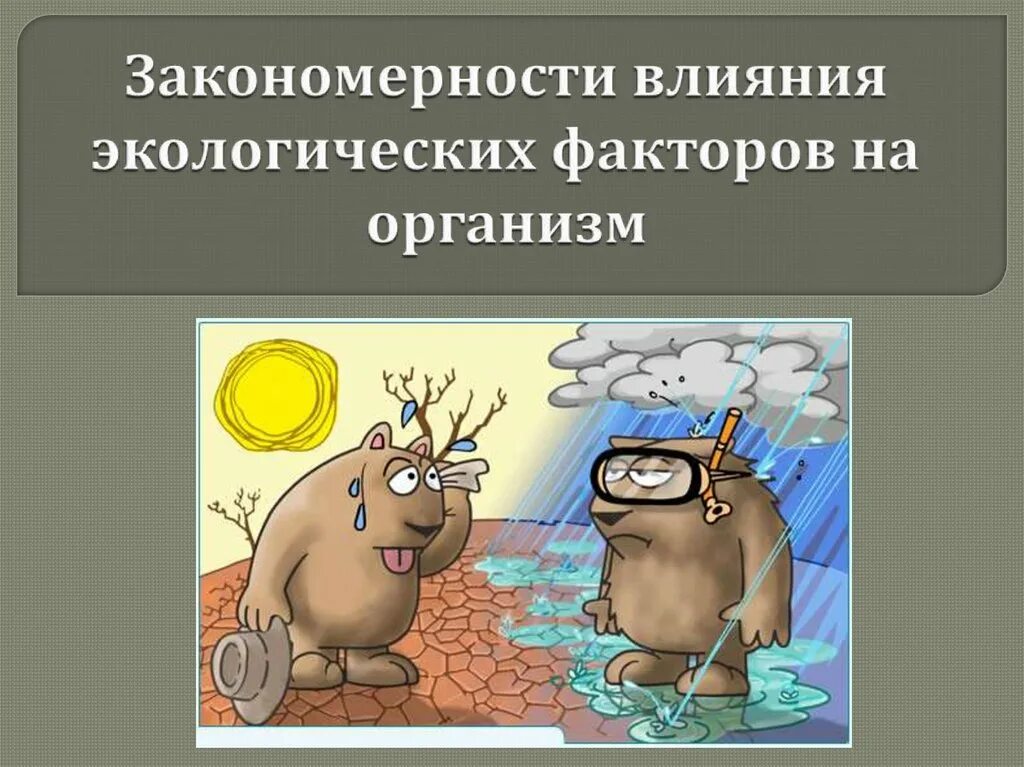 Экологические факторы окружающей среды классификация. Среда обитания экологические факторы схема. Влияние экологических факторов на организмы. Влияние экологических факторов. Экологические факторы 5 класс биология таблица.