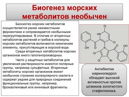 Первичные метаболиты