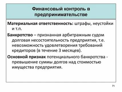 Финансовый контроль предпринимательской деятельности