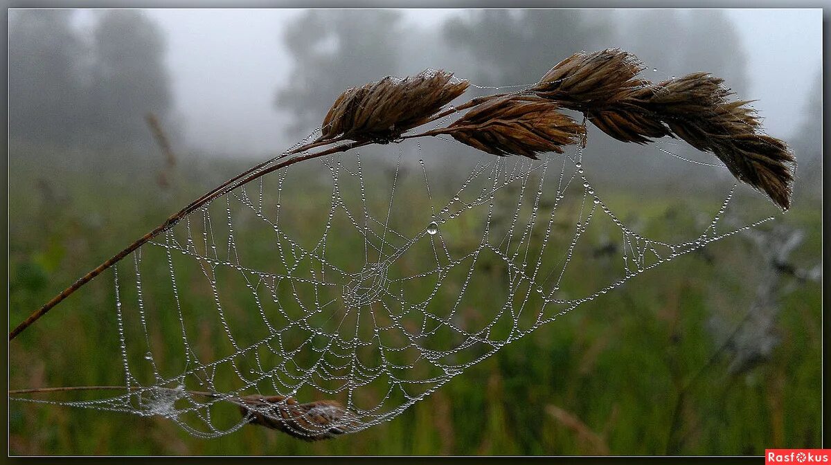 август лето заканчивается. картинки лето август. эстетика конца лета. скоро конец лета. лето велосипед.