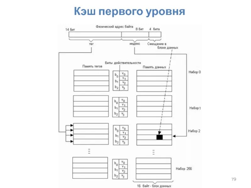 Кэш 3 уровня. Кэш первого уровня. Схемы управления памятью в ОС. Уровни кэша. Двухуровневая таблица.