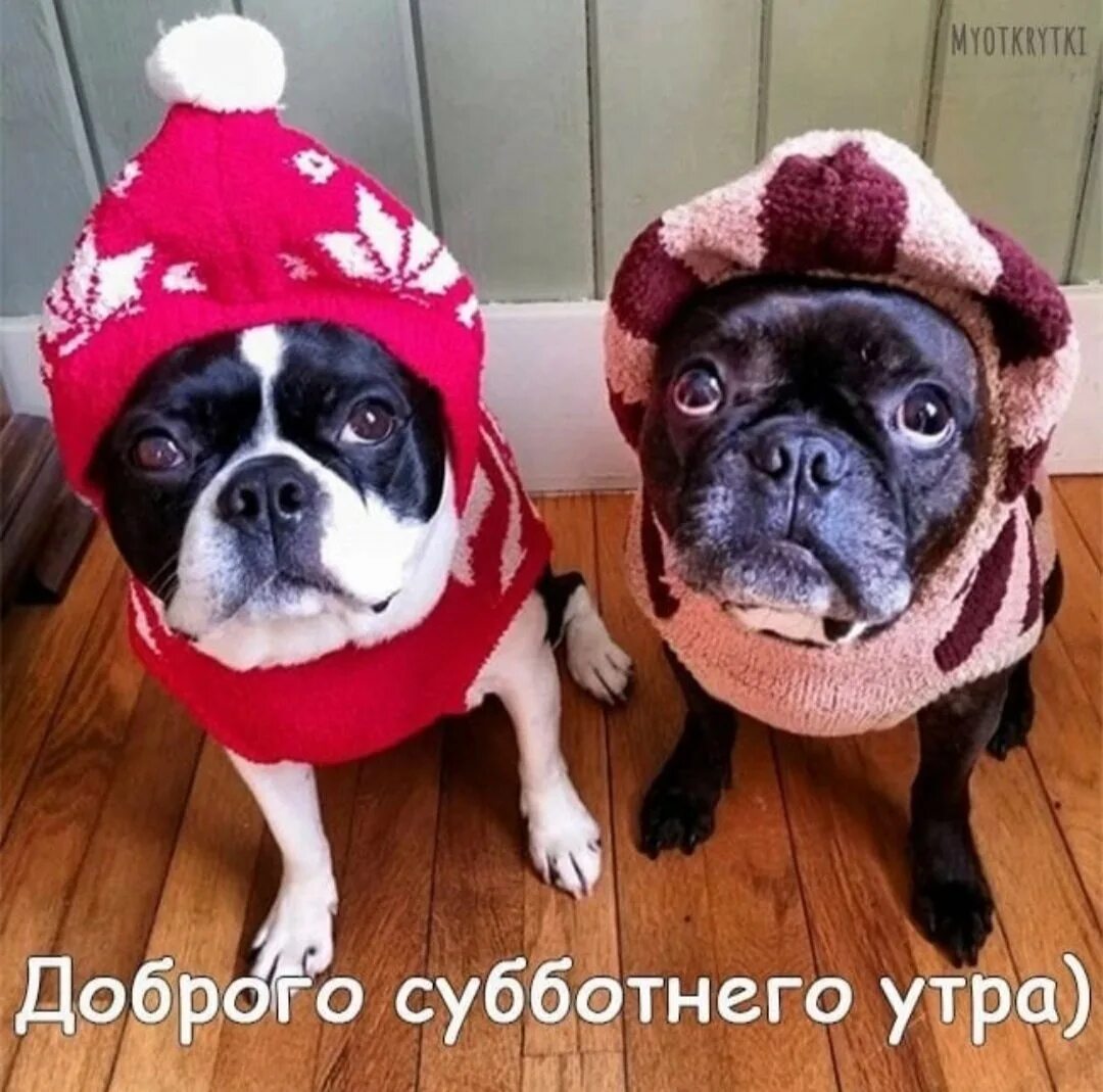 Сегодня суббота 2