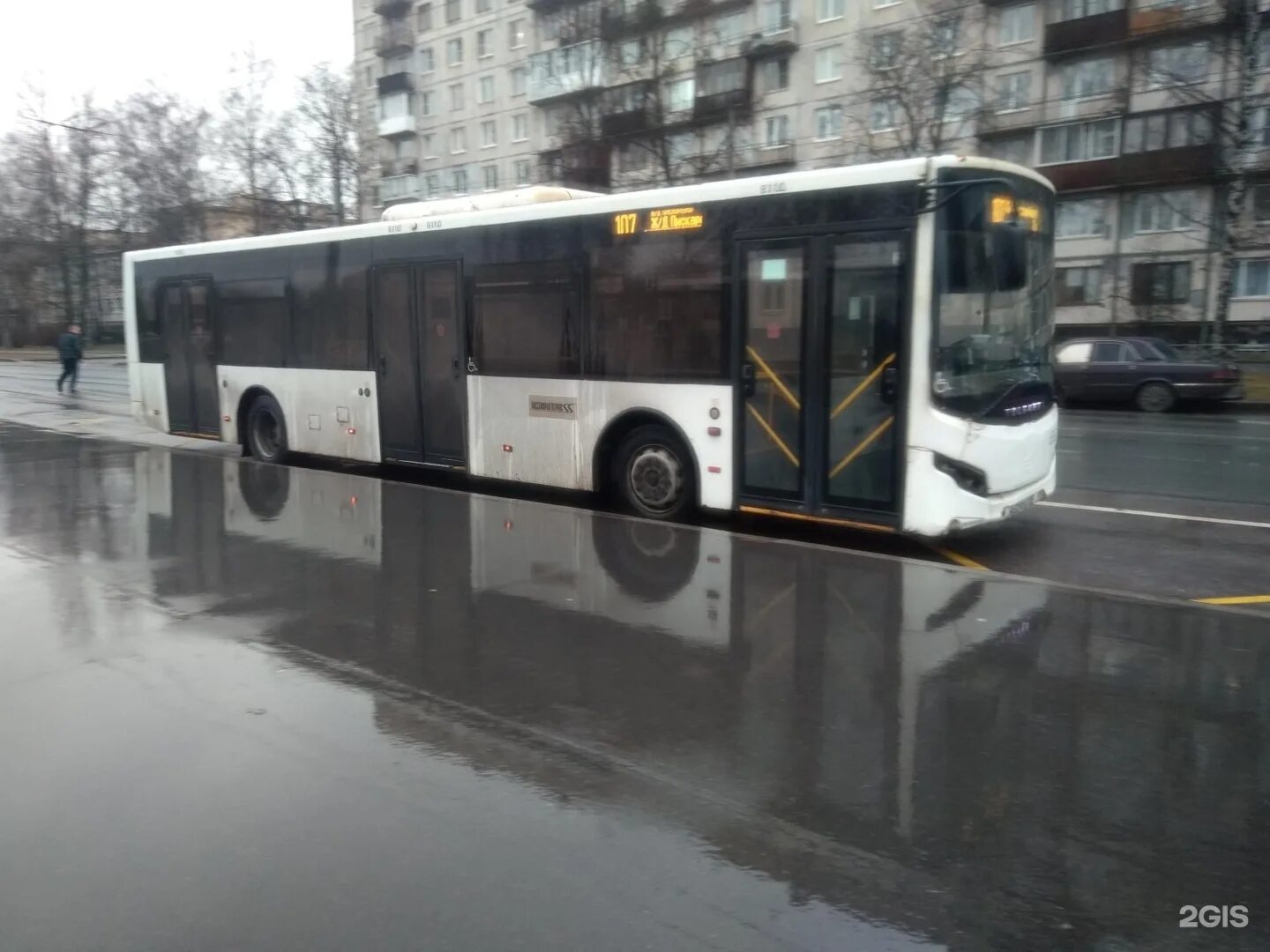 Номер автобуса 107. 107 Автобус СПБ. Автобус пилот Верево 107.