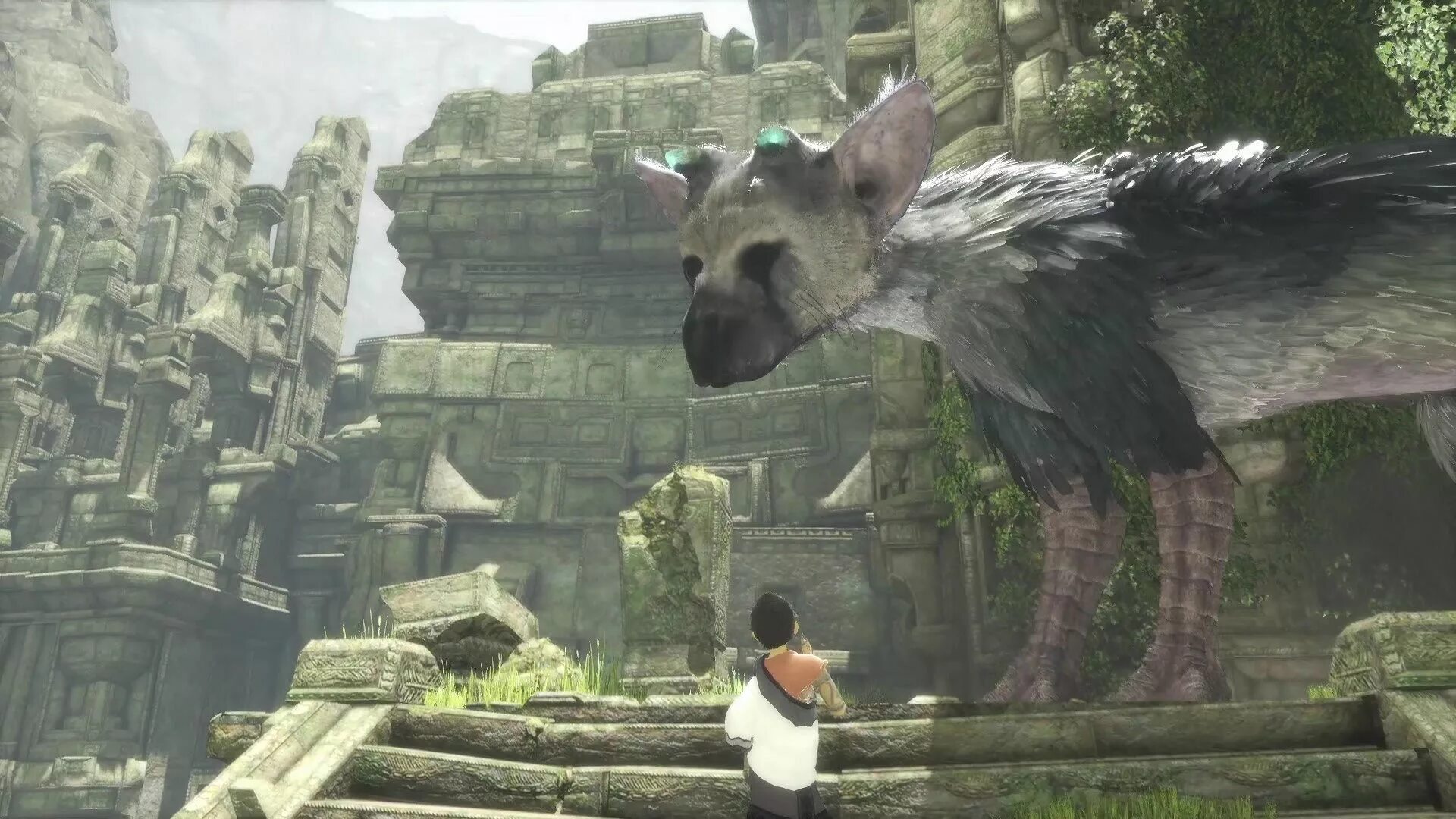 Зе ласт гардиан. Трико зе ласт Гардиан. Игра the last Guardian. Трику the last Guardian.