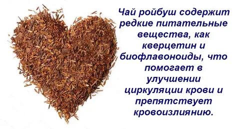 Чай ройбуш полезные свойства и противопоказания