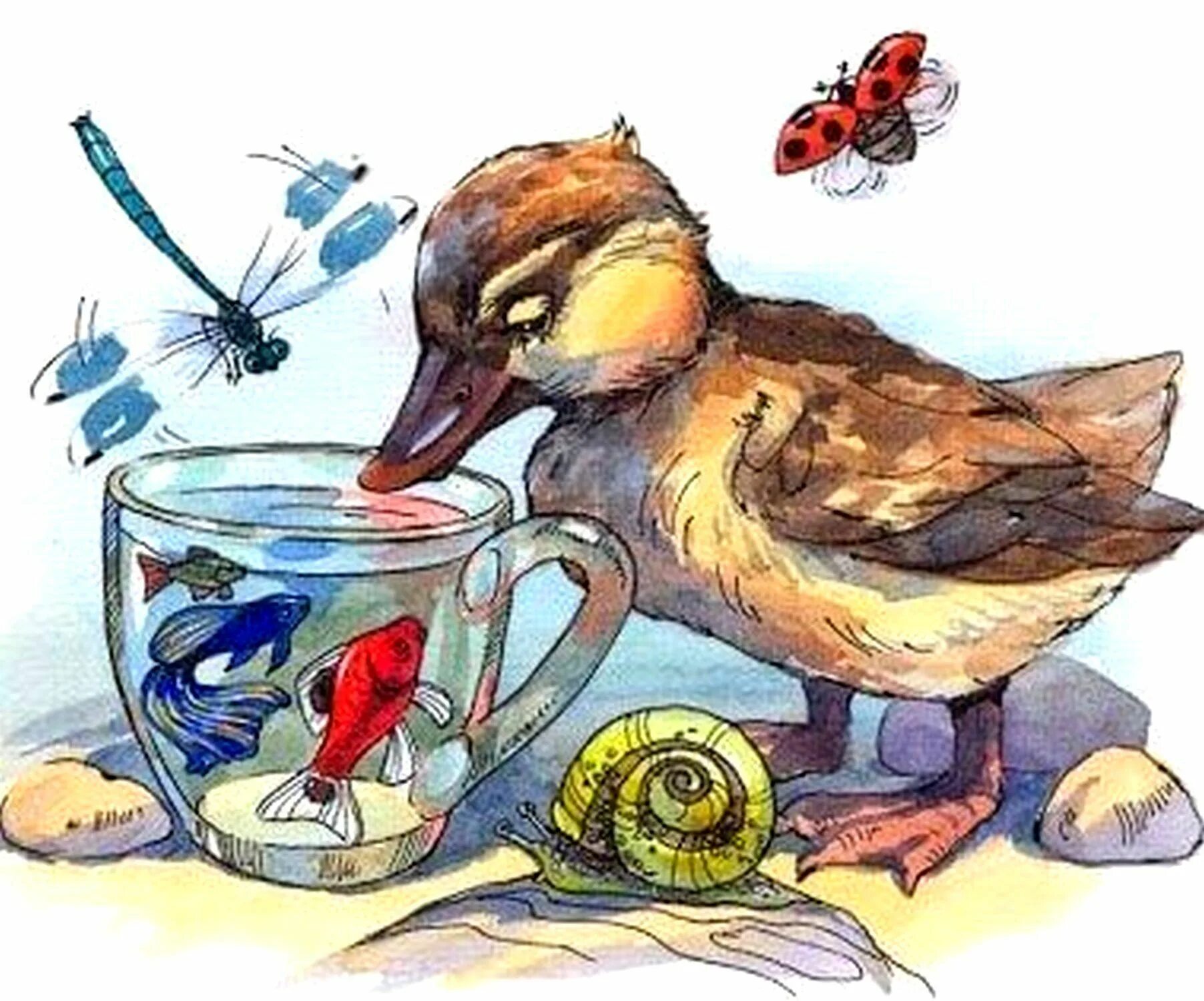 Сказки житкова кружечка под ёлочкой. Сказки житкова кружечка под ёлочкой. Б житков кружечка под елочкой. Кружечка под елочкой житков иллюстрации. Кружечка под елочкой житков читательский.