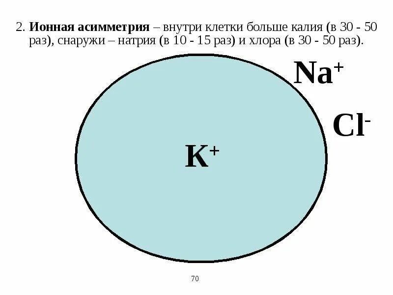 Мембранный потенциал ионов клетки. Концентрация натрия снаружи клетки. Концентрация ионов внутри и вне клетки. Внутриклеточная концентрация калия. Концентрация натрия снаружи клетки.