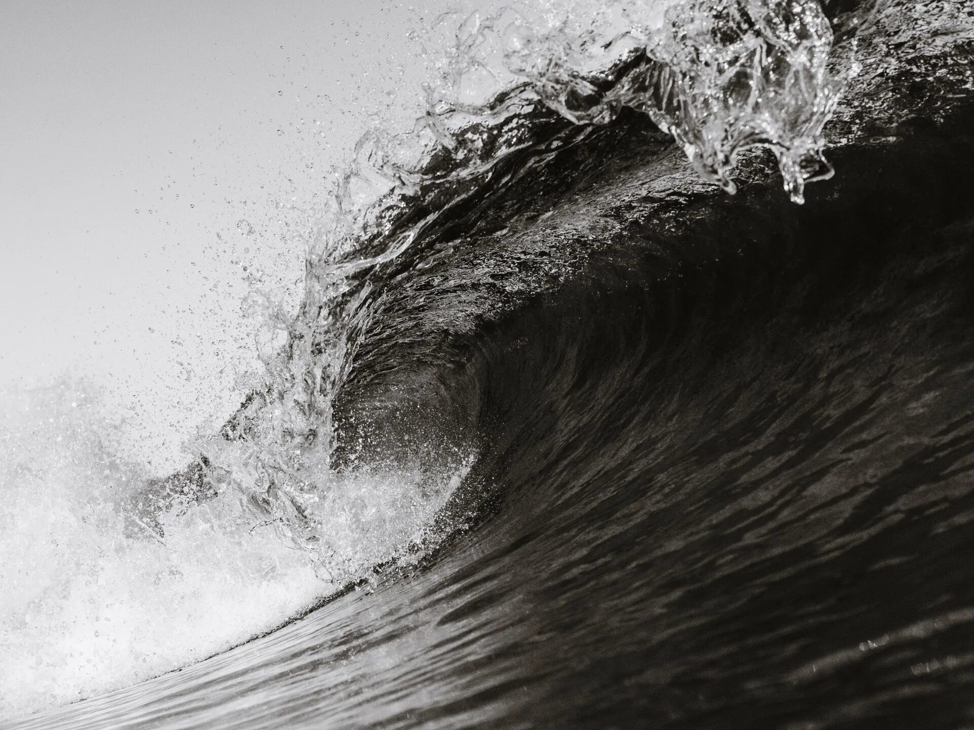Black wave