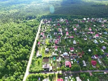 Ленинградская область садоводческое некоммерческое товарищество