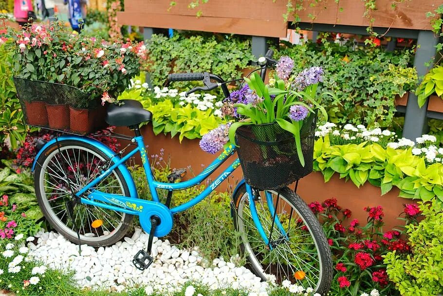 Цветы в колесе какие. Цветы в колесах. Пазлы велосипед с цветами. Цветочное колесо. Колесо с цветами.
