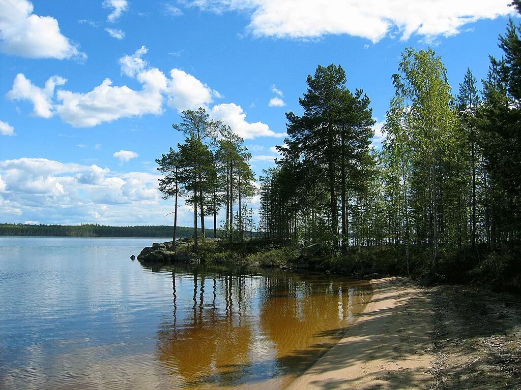 Озеро Шаверки Карелия. Ленинградская область природа Ленинградской области. Озеро Петроярви в Карелии. Лен озеро Карелия. Дикая ленинградская область