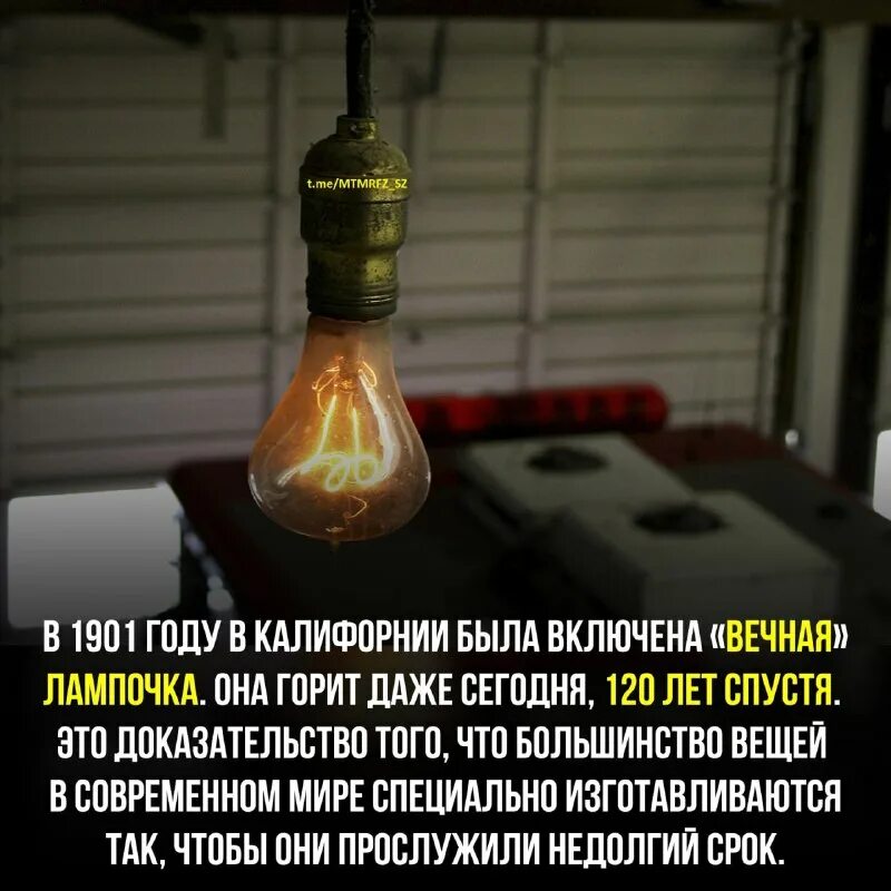 Ливермор лампочка которая горит 110 лет. Огонь в керосиновой лампе. Светящиеся окна. Самая старая лампочка в мире. Столетняя лампа в ливермор.