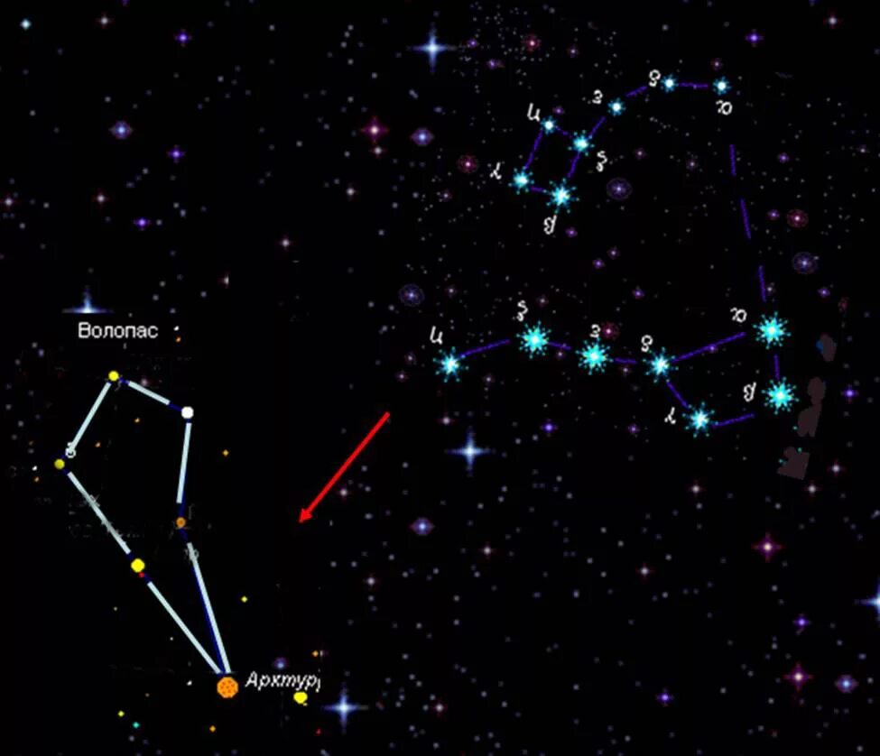 Ярчайшие созвездий. Созвездия названия. Созвездия летнего неба северного полушария. Персеиды в августе 2022. Созвездие сириус альфа большого пса.