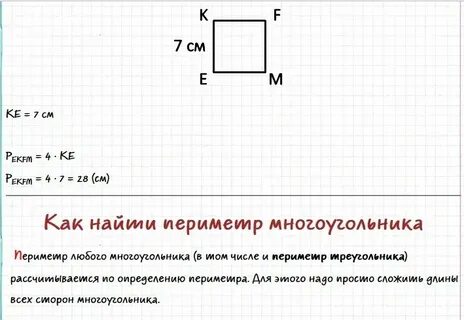 Периметр прямоугольника 40 см может ли длина