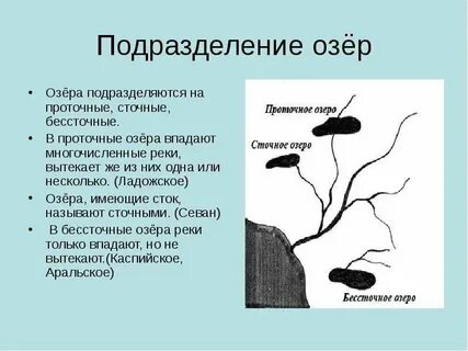 Какие реки вытекают из озера ладожское