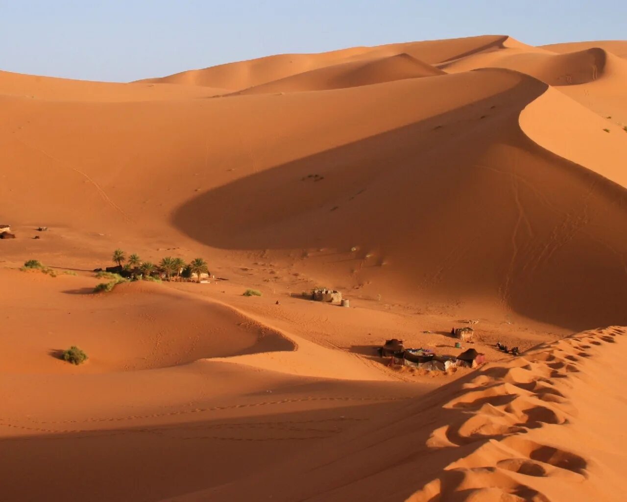 Пустыня Каракум Оазис. Эль ХАМРА пустыня. Пейзаж пустыни Кызылкум. Сахара Оазис. Арабский оазис