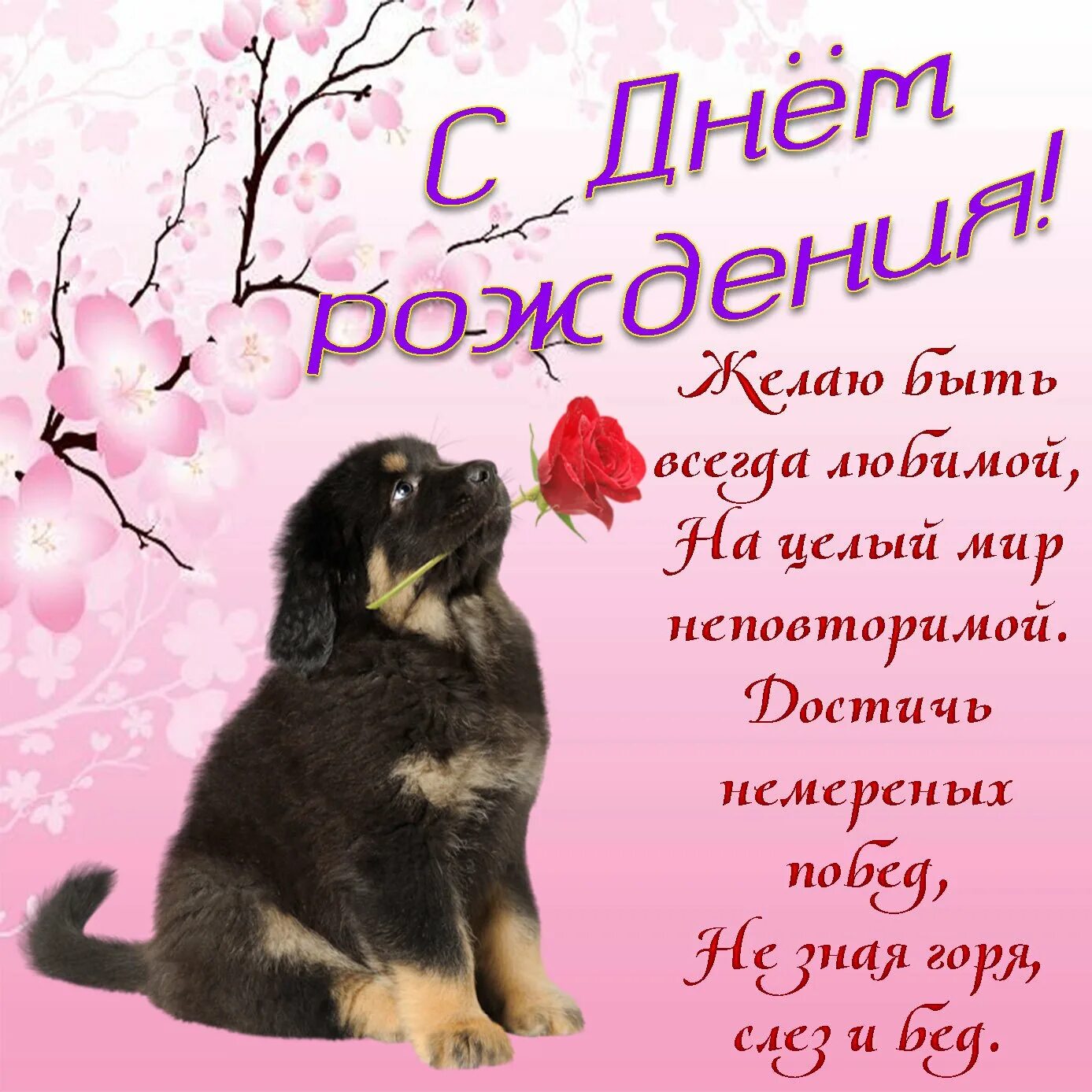 Никак поздравление. Открытка с днём рождения. открытки сднём рождения. интересные открытки с днем рождения. поздравление девушке.