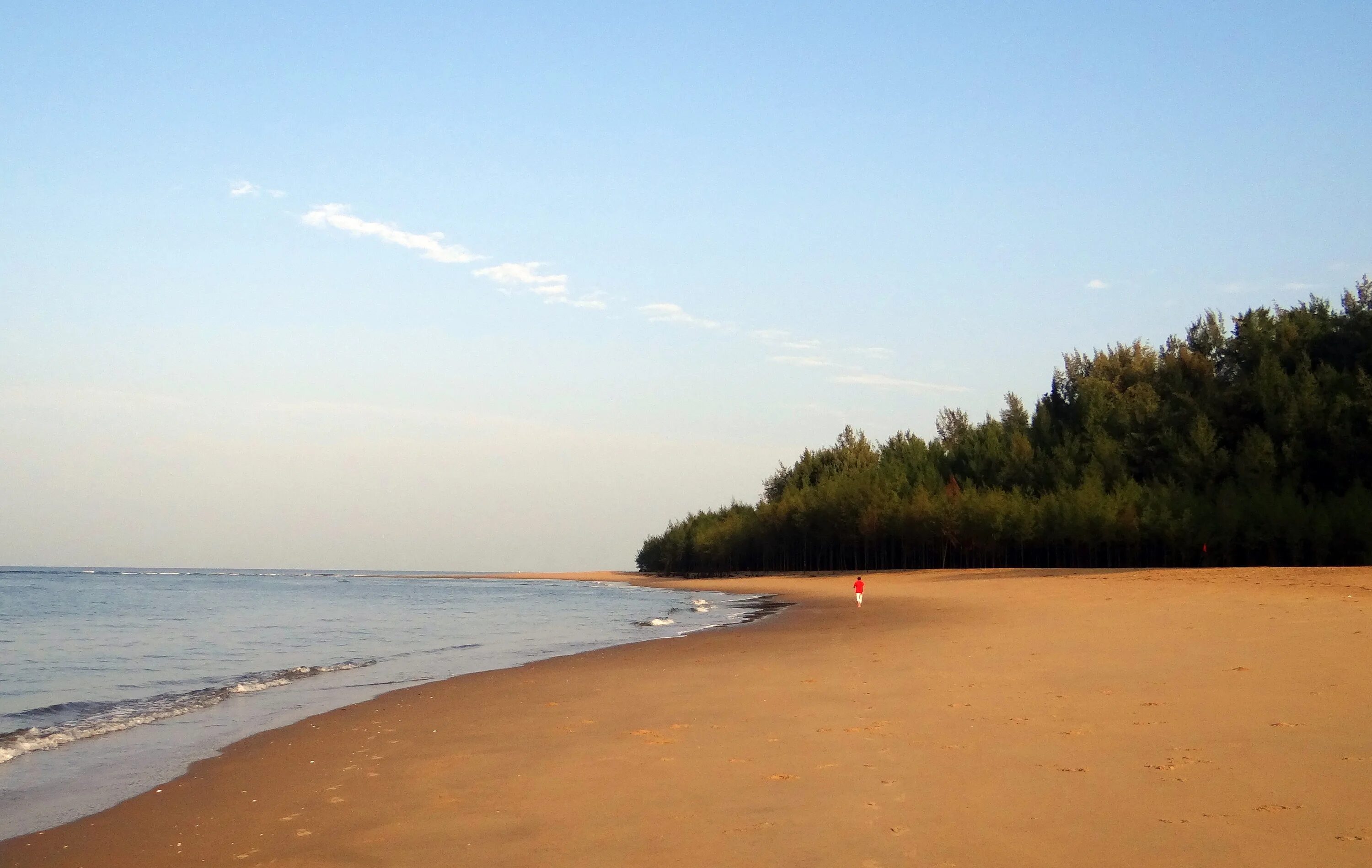 Золотые пески болгария. Золотые пески (golden sands) болгария. Пляж золотые пески отзывы. Золотые пески болгария. Золотые пляжи болгарии.