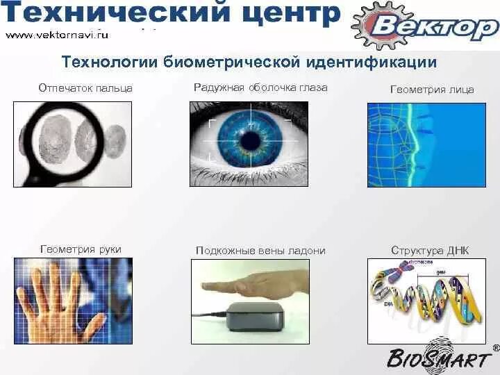 Какие данные относятся к биометрическим