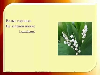 02.11 рабочий день