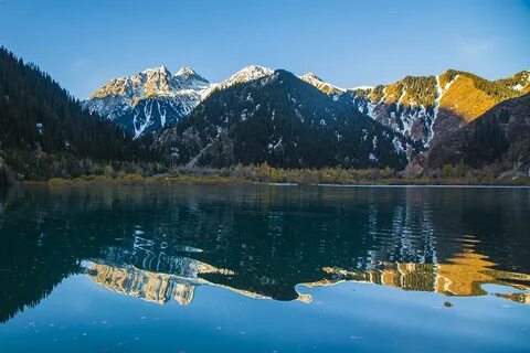 Кеудесі пролапс қыздар порно секс ххх азғындық