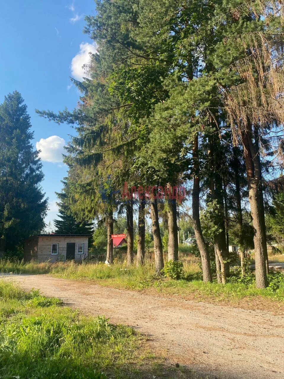 Деревня филино нижегородская область. Погода в ларионово. Ларионово рыбинск. Поселок ларионово. Ларионово владимирская область.