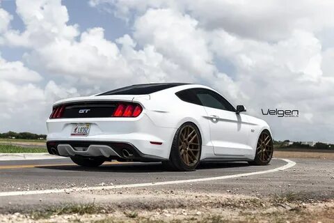 White mustang перевод