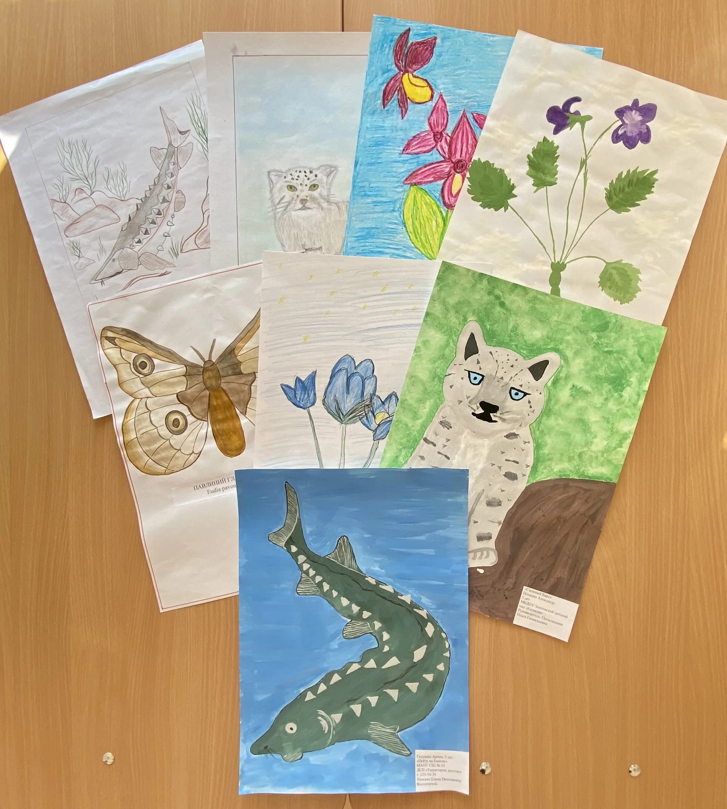 итоги конкурса мир глазами детей 2023. мир глазами детей конкурс. итоги конкурса мир глазами детей 2023. итоги конкурса мир глазами детей 2023. итоги конкурса мир глазами детей 2023.