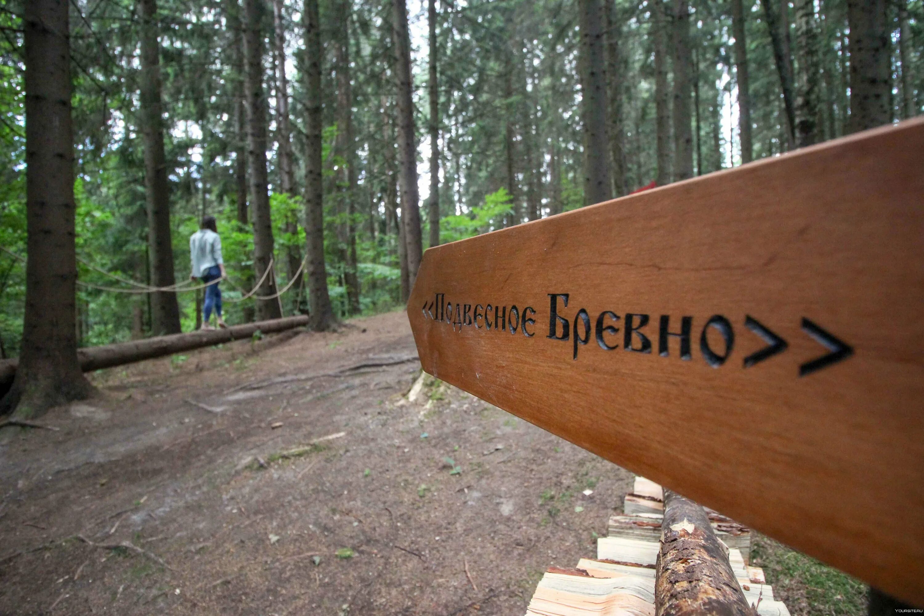 Где находится лосиный остров тропа. Парк Лосиный остров Босоногая тропа. Экотропа Лосиный остров Босоногая тропа. Лосиный остров Дендрарий Босоногая тропа. Босоногая экотропа в Лосином острове.