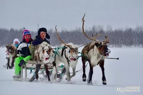 Погода ловозеро мурманская