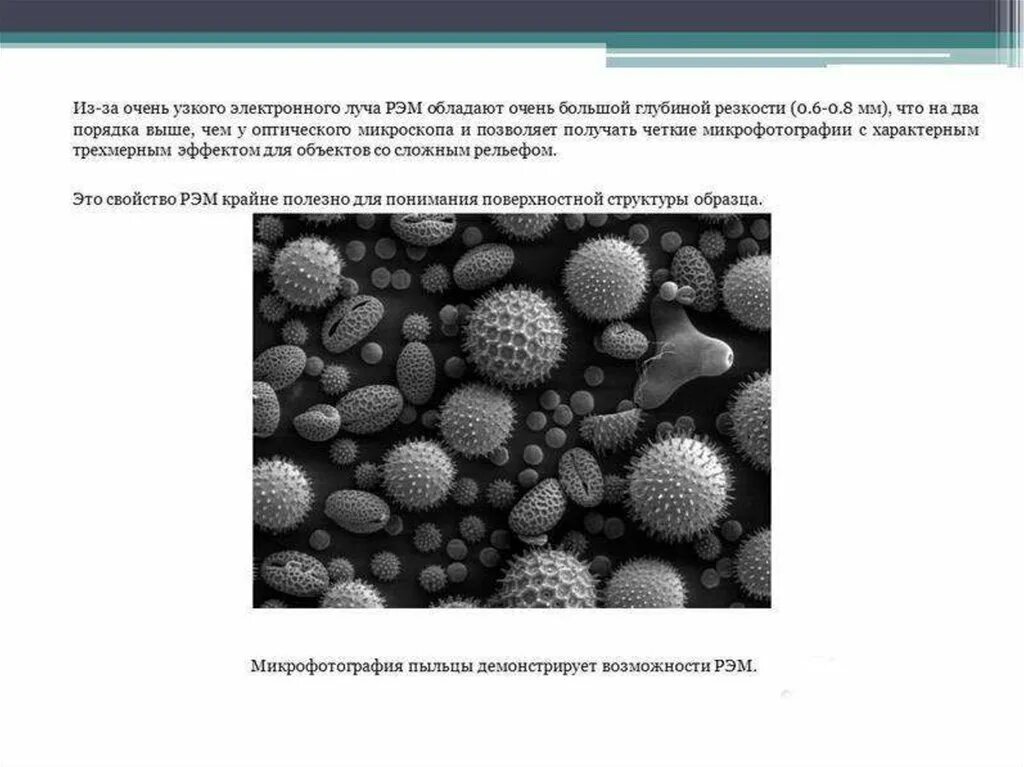 Какой тип микроскопии использовался для получения микрофотографии