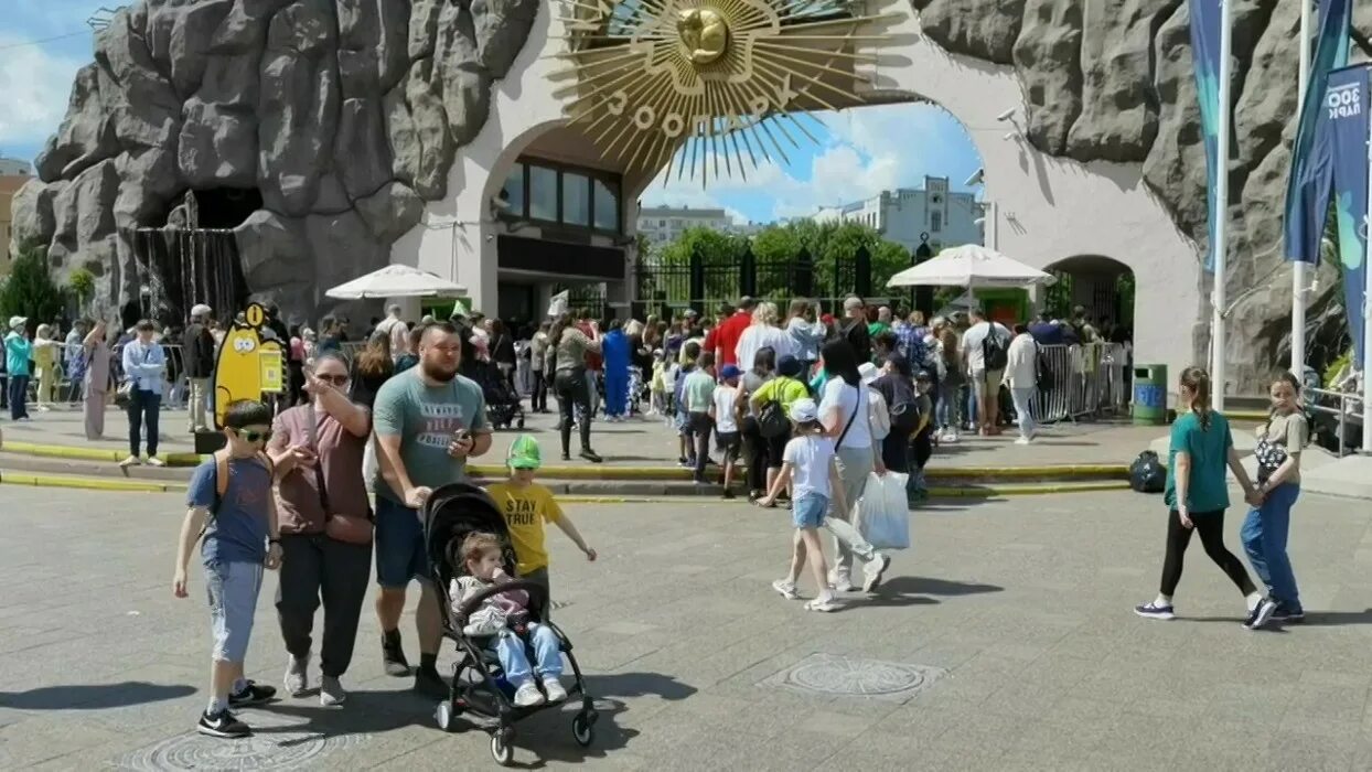 Очередь в Московский зоопарк. Очередь в зоопарк в Москве. Московский зоопарк очередь в кассу. Московский зоопарк собрание.