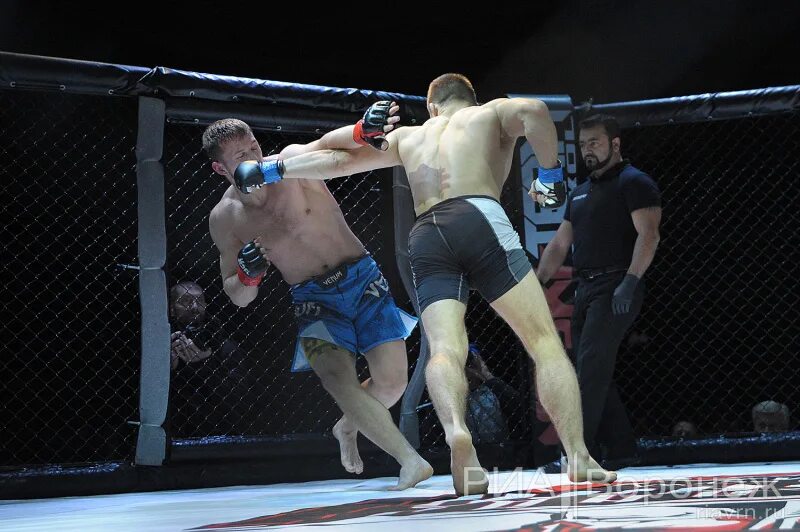 Единоборства сегодня. Бойцы мма екб. Единоборства сегодня. Мма соревнования. Единоборства сегодня.