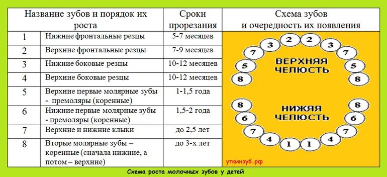 Сколько зубов должно вылезти. Количество зубов у ребенка в 1 и 4 месяца. Нормы зубов у детей до 1 года. Количество зубов у ребенка в 1.5 года должно. Сколько зубов должно быть у ребёнка в 1 год и 1 месяц.